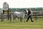 SBM_00733
