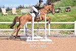 BPP_1980