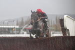 141125-Race 2-Dreal Deal-9612