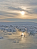 Frosty Landscape