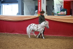 SBM_15977