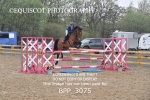 CLASS 8 SAT Senior Newcomers/ 1.10m Open portfolio