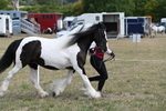WJ6_6523