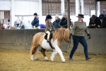 SBM_008799