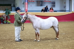SBM_00280