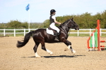 SBM_002020