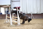 SBM_001783