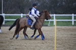 SBM_004476