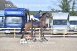 BPP_5217