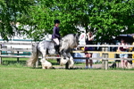 SBM_19357