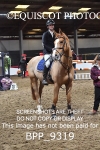CLASS 7 1.05m Amateur Championship Qualifier portfolio