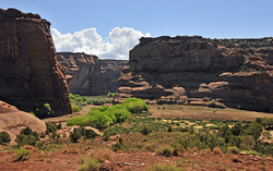 Canyon de Chelly portfolio