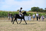 WJ6_8325