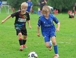 Ibis Under 11's portfolio