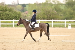 SBM_006491