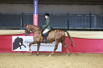 SBM_09656