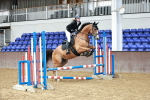 SBM_006772