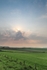 silver lining