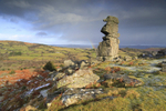 Bowerman's Nose
