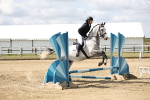 60cm showjumping portfolio