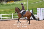 BPP_4806
