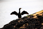 IMG_7071_2