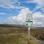 lantern pike