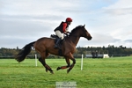 601-ZIA'S.ZAVITAS-Helen.Buckland-SC+XC portfolio
