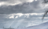 COLOUR -  WEEK #47