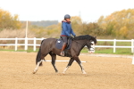 SBM_000649