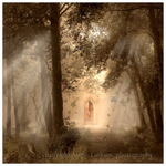 Mystic Wood
