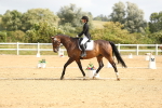 SBM_015661
