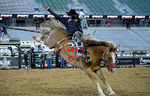 3HRodeo_PBR_All-Star_JUL_2026_0800
