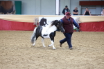 SBM_17334