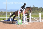 BPP_1778