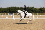 SBM_004184