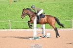 Sunday 29th - Huish Arena portfolio