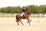SBM_002326