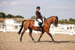 SBM_08053