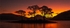 Pre sunrise -  Another day and its all mine!