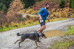 Glentress 21  10K-519