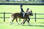 SBM_39523