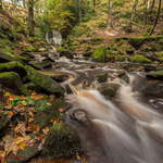 Tigers Clough Waterfall II