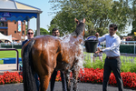 130826-Race 1-Not My Type-7854