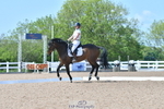 Cls 7 Novice 34 portfolio