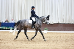 SBM_001615