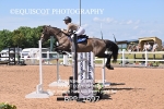 BPP_1697