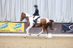 SBM_001526