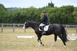 WJ6_9037