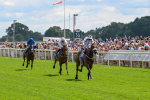 140625-Race 3-Al Qareem-2462